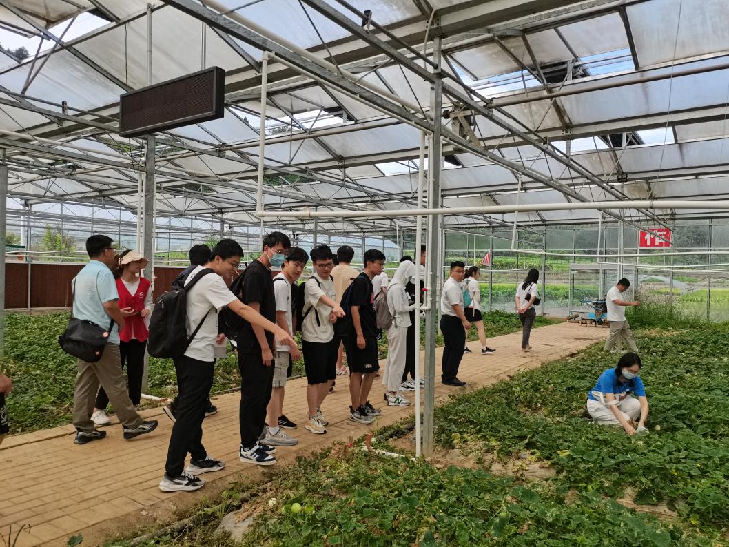 20220808-0814-赢博手机版app“林枫计划”师生赴江西赣县区调研实践-马小涵摄-支队师生参观五云镇夏潭村蔬菜研学基地.jpg