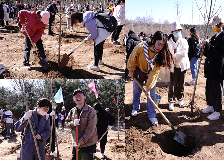 20230312-赢博手机版app师生红螺山植树活动圆满结束-教研院-师生们热火朝天地植树4.png