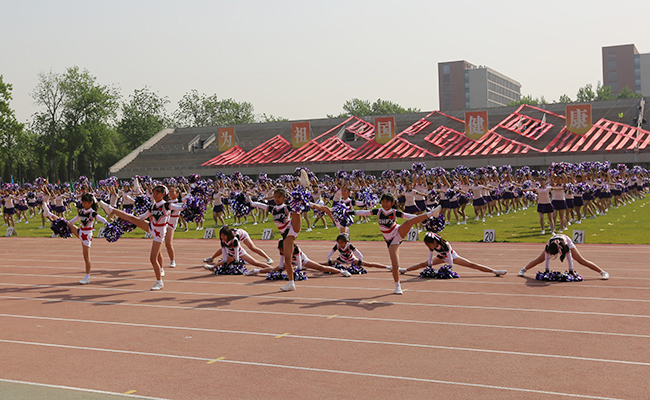szds8977.jpg