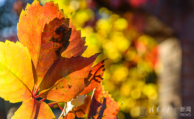 20171029-DSC_2755.jpg